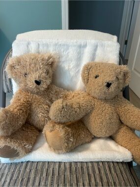Adorable Vermont Teddy Bear Plush Pair